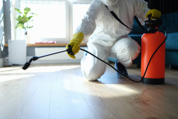 Best Wasp Removal Services  in Rosaryville, MD