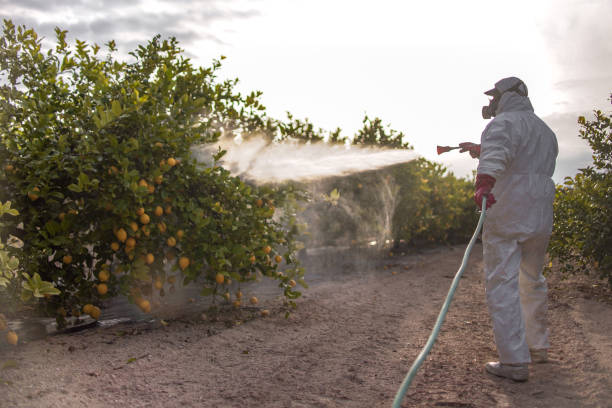 Pest Control for Restaurants in Rosaryville, MD