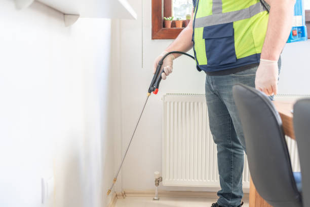 Best Local Pest Control Services  in Rosaryville, MD
