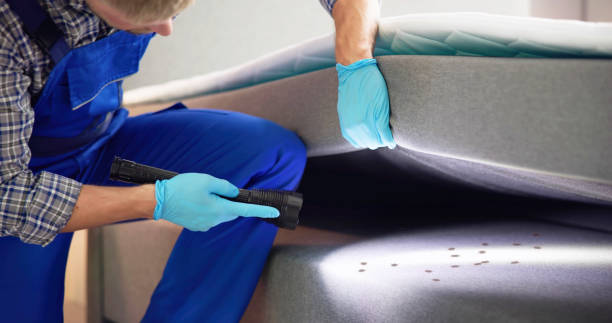 Professional Pest Control in Rosaryville, MD