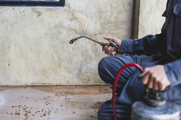 Best Emergency Pest Control  in Rosaryville, MD